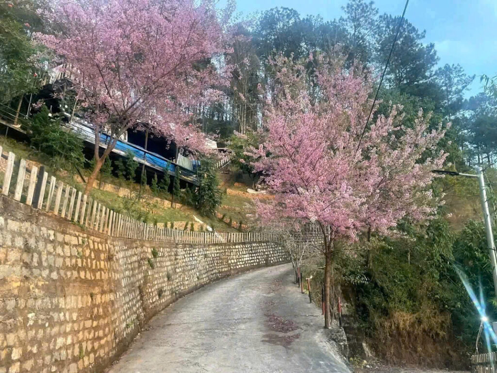 Ban khu homestay cà phê Đà Lạt