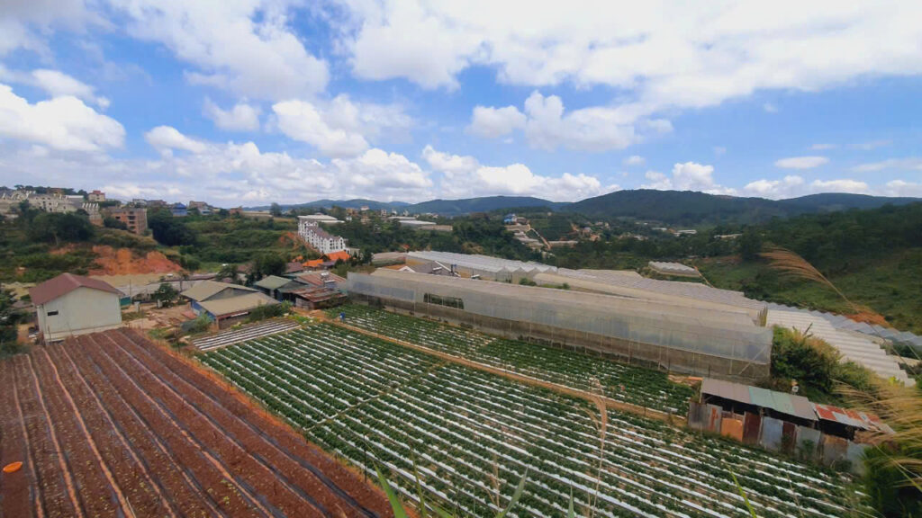Bán đất mặt tiền Đà Lạt