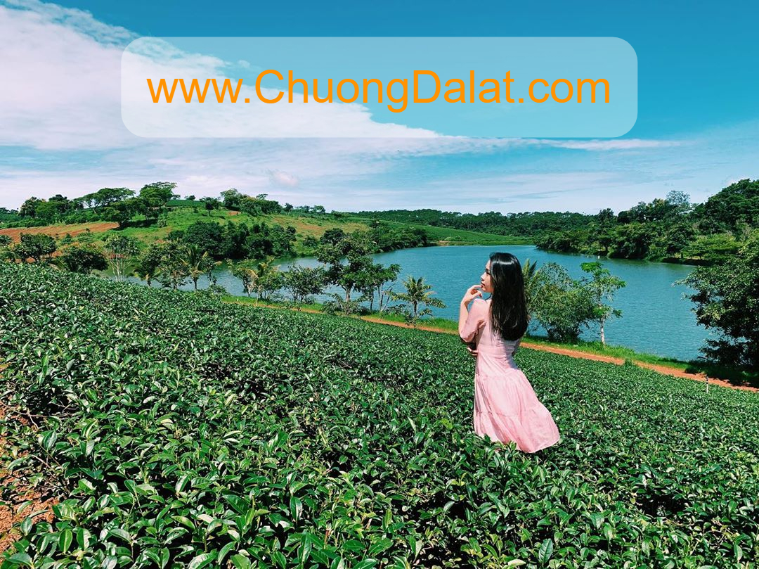 Chương Đà Lạt