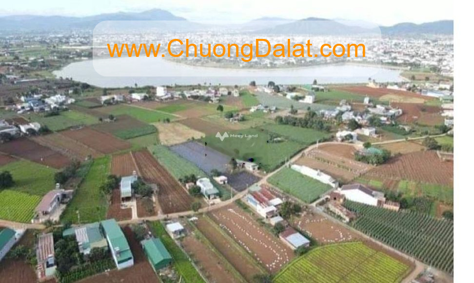 Chương Đà Lạt