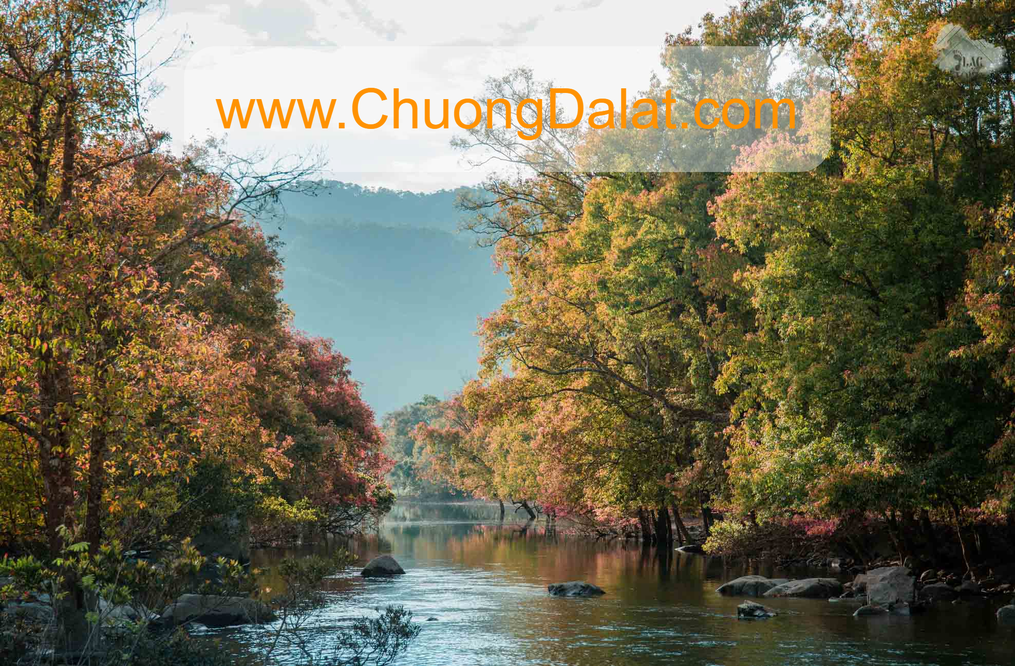 Chương Đà Lạt