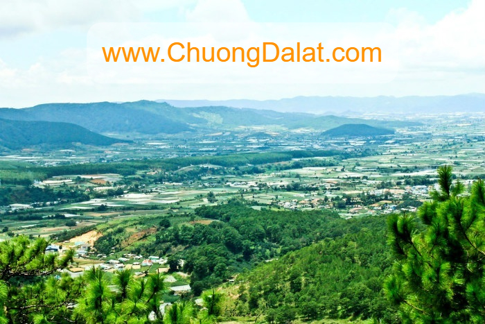 Chương Đà Lạt